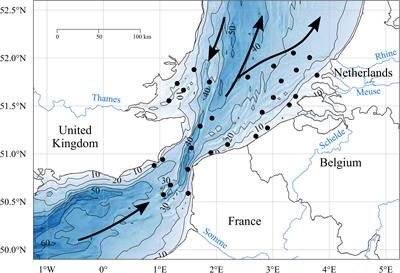 From Bacteria to Zooplankton: An Integrative Approach Revealing Regional Spatial Patterns During the Spring Phytoplankton Bloom in the Southern Bight of the North Sea